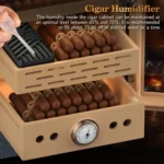 Tabletop Electric Cigar Humidor with Lighting Control